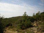 Tres Termes 2009 C (1083).jpg