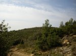 Tres Termes 2009 C (1117).jpg