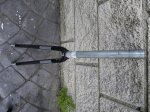 IMGP0060.JPG