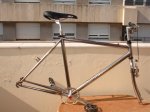 DSC02014.JPG