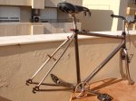 DSC02016.JPG