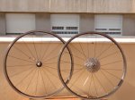 DSC02018.JPG