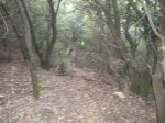 las furgades 003.jpg
