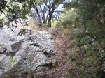 las furgades 006.jpg