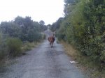 Imagen026.jpg