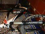 DSC00380.jpg