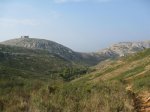IMG_3461.jpg