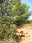 IMG_3452.JPG