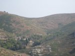 IMG_3469.jpg