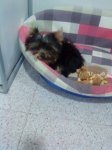 DSC00076.jpg