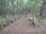 DSC01062.jpg