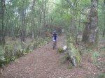 DSC01066.jpg