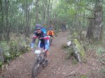 DSC01068.jpg