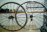 PZAS. ULTRALIGERAS 001.jpg