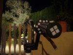 DSC01187.jpg