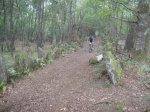 DSC01071.jpg