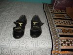 IMG_0241.jpg