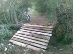 PASARELA.jpg
