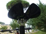 DSCF3731.jpg