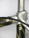 racoresvitus001[1].jpg