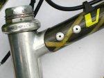 racoresvitus002.jpg
