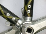 racoresvitus003.jpg