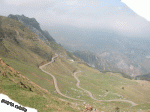 ubina1.gif