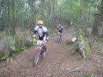 DSC01081.jpg
