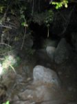 IMG_2246.JPG