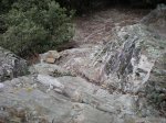 la cova 005.jpg