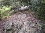 la cova 003.jpg