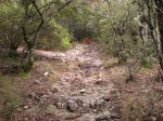 la cova 001.jpg
