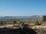 DSCF6350.JPG