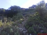 DSC00107.jpg