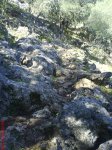 DSC00111.jpg