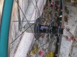 DSCN2943.jpg