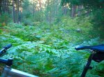 DSCN0307.jpg