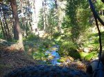 DSCN0312.jpg