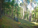 DSCN0318.jpg