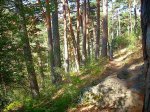 DSCN0319.jpg