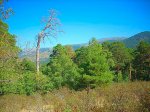 DSCN0321.jpg