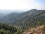 rodadora 004.jpg