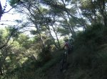 monte de las cenizas 078.jpg