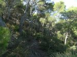monte de las cenizas 080.jpg