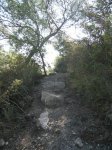 monte de las cenizas 082.jpg