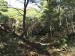 monte de las cenizas 085.jpg