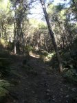 monte de las cenizas 086.jpg