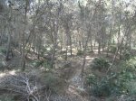monte de las cenizas 094.jpg