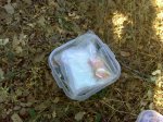 DSC00053.jpg