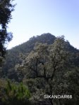 PA030055.JPG